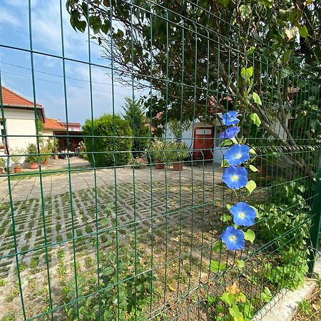 Mandula ház Hotel Veszprém Exterior foto