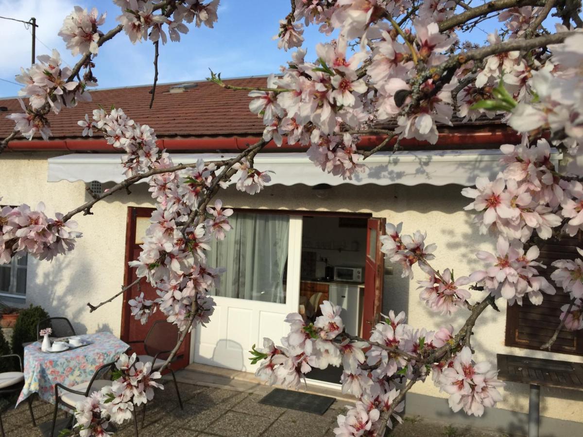 Mandula ház Hotel Veszprém Exterior foto